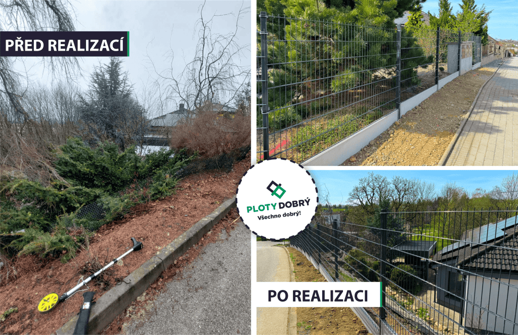 před a po